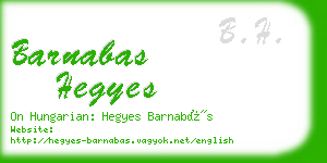 barnabas hegyes business card